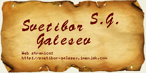 Svetibor Galešev vizit kartica